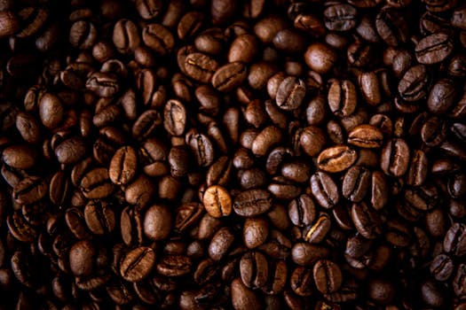 A detailed close-up of roasted coffee beans showcasing rich textures and colors.